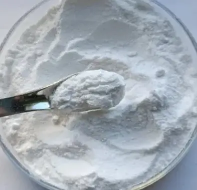 Bifidobacterium Infantis
